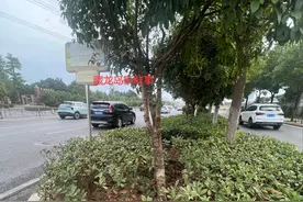 能否开通藏龙岛到江夏文化大道的直达公交？有关部门回复！图片