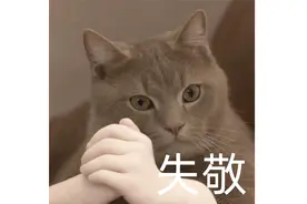 你说的都对，但我就是要上闲鱼图片