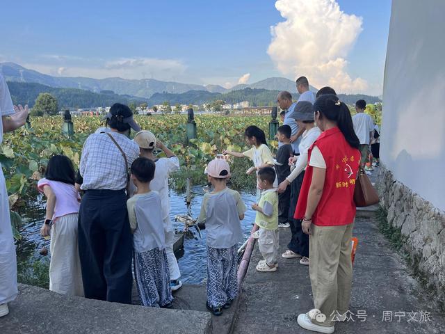 41.52万人次疯玩！超3亿元收入！周宁双节你参与了吗？