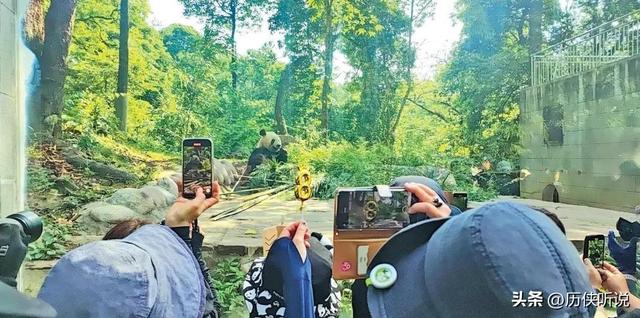 大国崛起！随着免签政策施行，超过2000万外国游客涌入中国