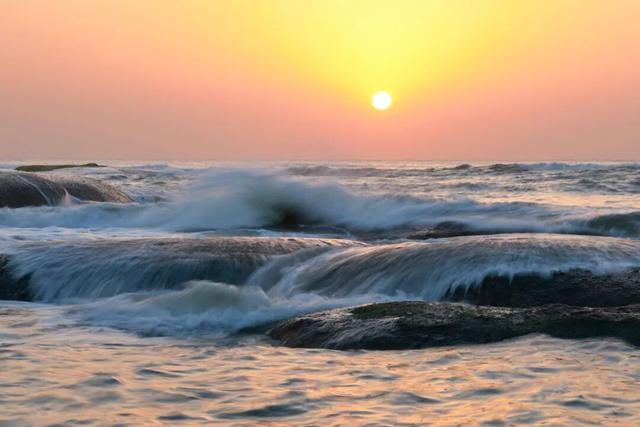 藏不住了！正是好拍又好逛的时候！就在日照这些地方……