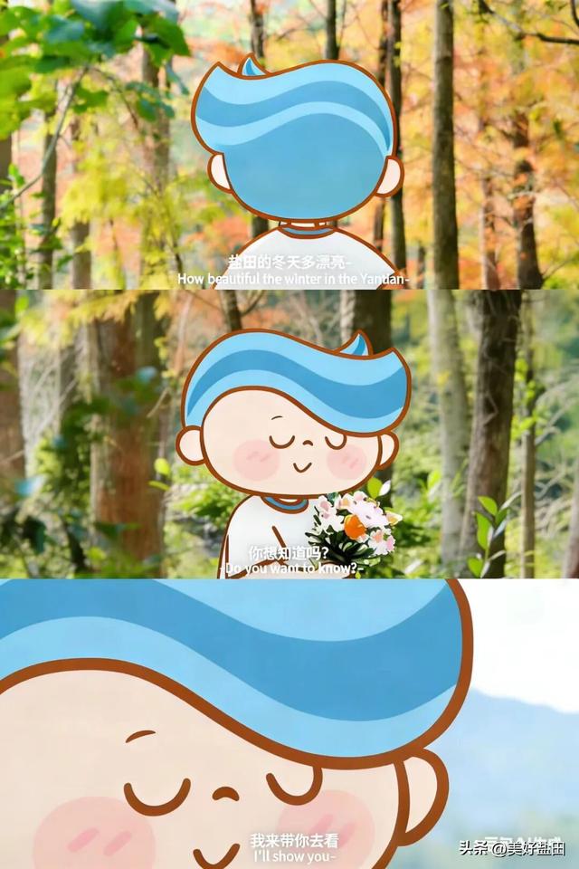 冬日限定！这里的落羽杉美出电影质感