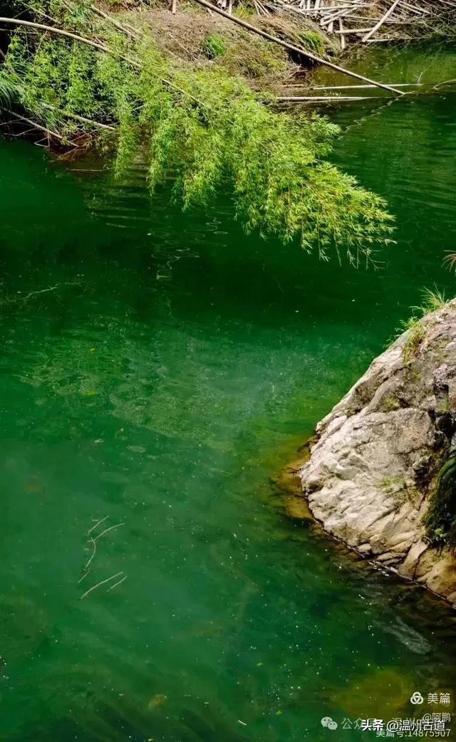 隐藏在温州深山幽谷的绿野仙踪,免费开放,知道的人却极少!