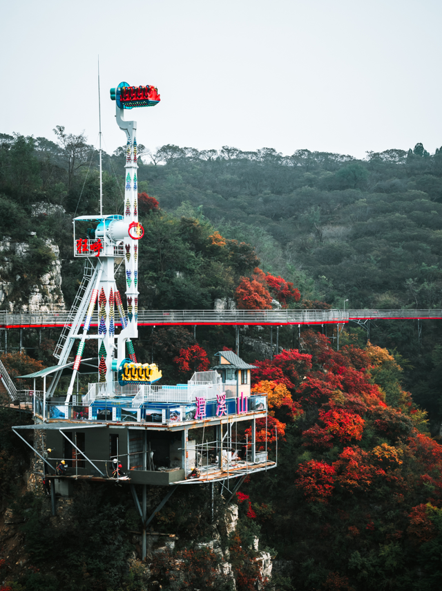 即刻出发，解锁淄博「秋日限定」模式，错过等明年！