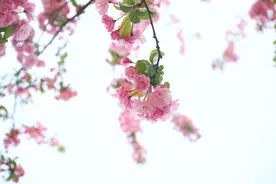 不管贫穷还是富有，这三种礼没必要随，除非人傻钱多图片