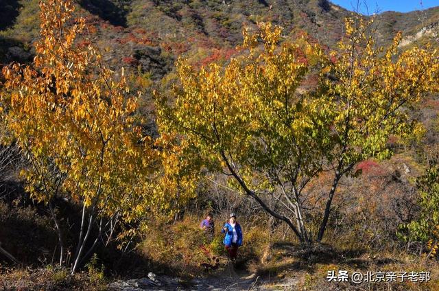 少有人知道的秋季徒步路线，还有太监墓