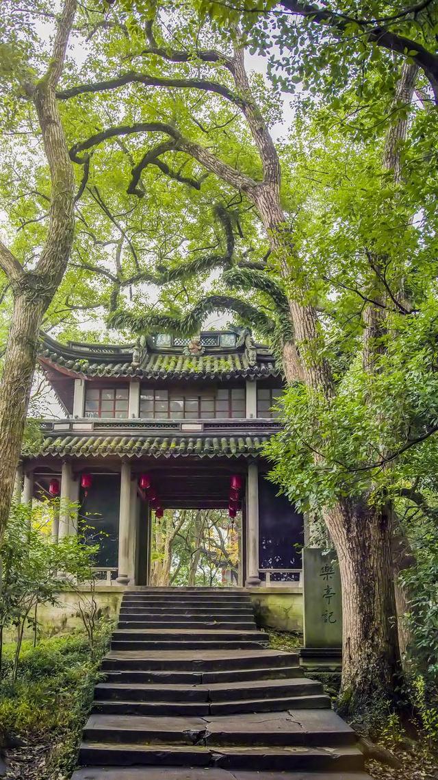 被严重低估的清净地！浙江还藏着一座冷门奇山，人少景仙，超好玩