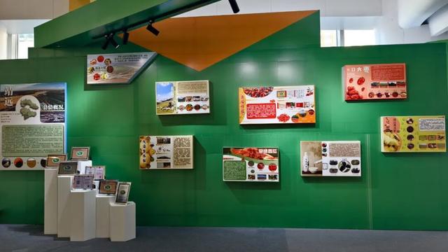 杞红如故，筑梦不息！靖远邀您共赴一场产业与人文之约