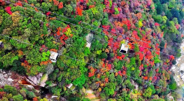 还能去哪儿赏最后一波秋色……