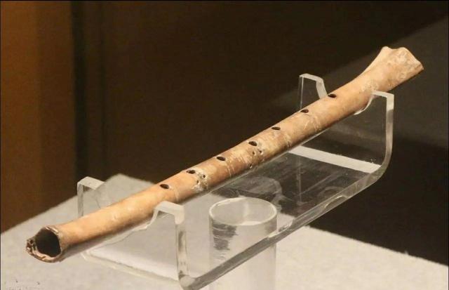 漯河贾湖 8000 年木棺火了！到这里游玩必须要懂得这些