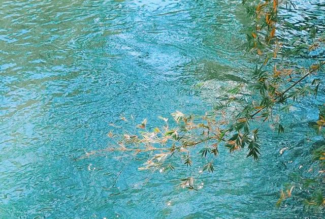 今天来到玉溪，误入龙泉胜地，古寺龙宫，泉池清澈，桃源仙境