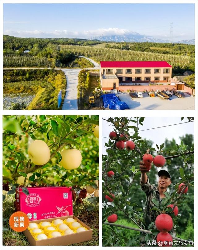 【乐游烟台】2天1夜刚刚好！烟台牟平这里，等你来一场秋日之约！