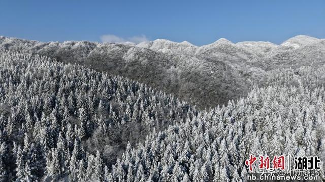 湖北咸丰：林海银装素裹宛如冬日秘境