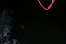 夜钓惊魂，钓友老六吓尿了！图片