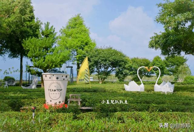 南投名间景点 天空步道、茶园秘境、品味台湾茶文化