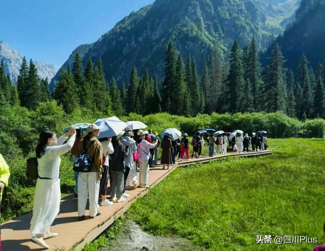 绵阳平武：20℃的清凉经济“热”起来 多元消费场景激发夏游活力