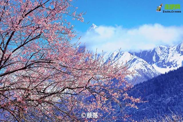 3 月旅行地推荐！这17 个地方春暖花开美到不像话，第一个直接心动