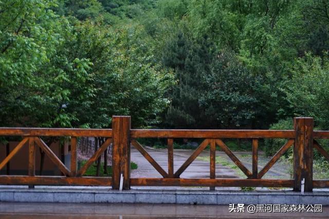 一夜入秋 | 一键查看你不曾见过的雨中黑河