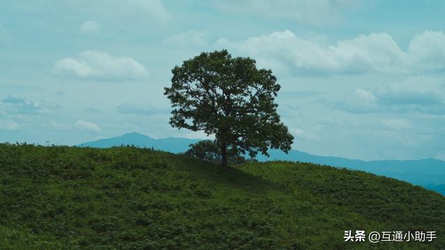 适马 70-200mm F2.8 DG DN OS | Sports 镜头评测