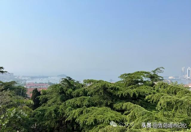 观海山上的观海台，何时让它实至名归！