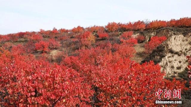 人这一辈子，一定要去一趟榆林！