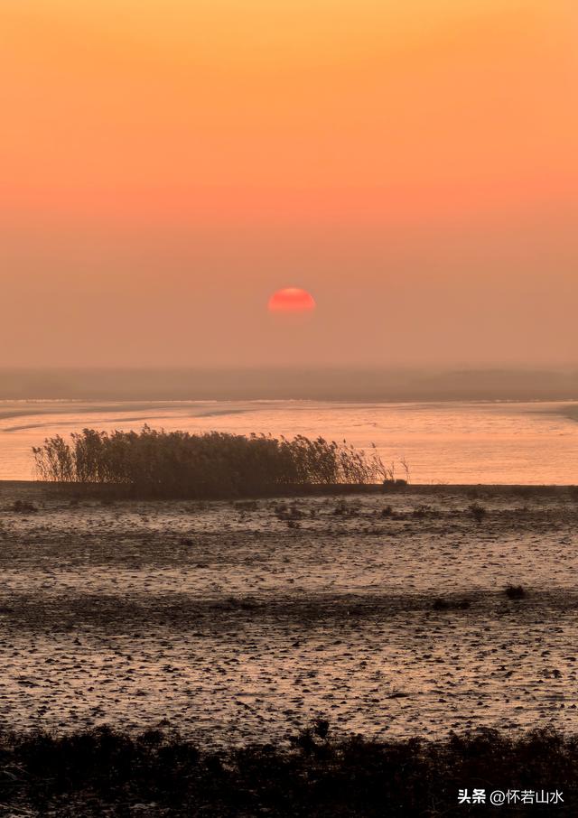 2025辽宁赏秋之旅日记(6)——到辽河口中国最北海岸线看日出 观鸟