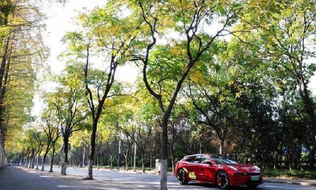 如果您欠几十万就崩溃？听完这段话您会马上清醒！