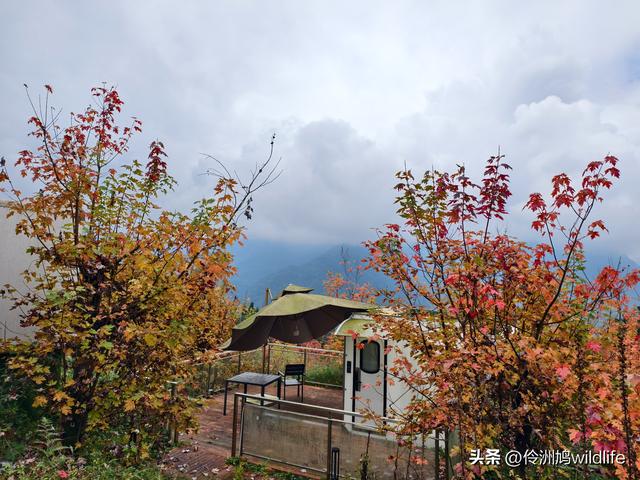 四川行(73)什邡红枫岭徒步到钟鼎寺