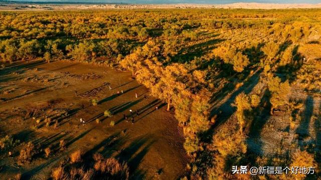 克拉玛依5处小众赏秋地，别只说它「油」了！