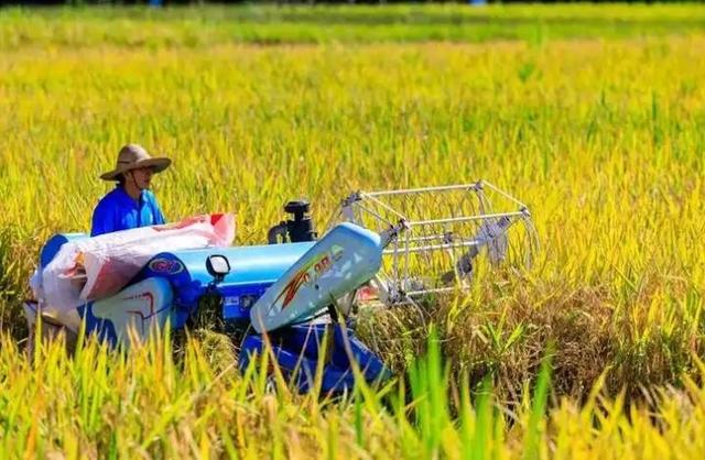 央媒通报！又一间谍行为曝光，作案手法阴险，粮食安全受威胁