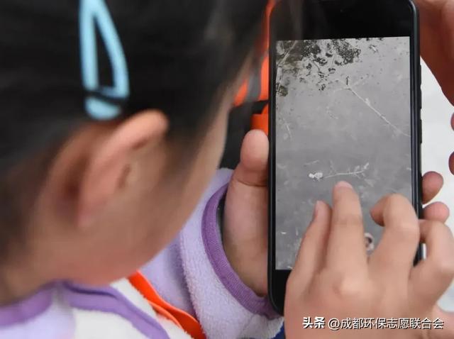 环保志愿 “趣”游蓉城|锦城湖“无痕自然”体验活动