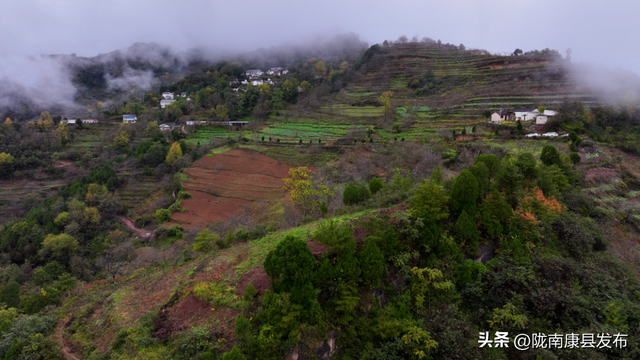 红叶遍山野，秋韵满望关
