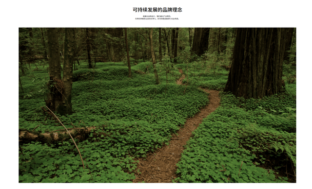始祖鸟的奢侈品化转型阵痛藏不住了