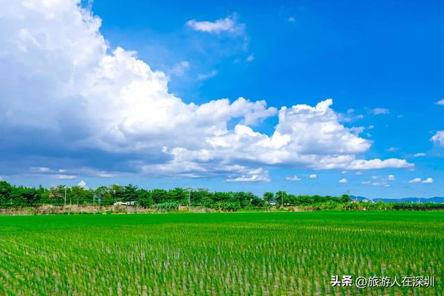 江门旅游去哪里好玩？2天1晚经典行程推荐，沉醉于碉楼山水美食