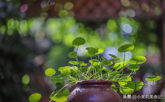7月20入伏，老人说：闰月伏穿棉衣，今年三伏天在闰六月，早准备