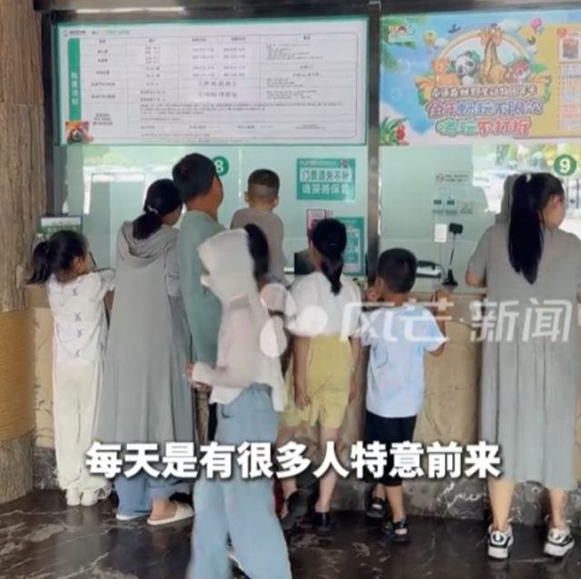 捞光许愿池硬币捐款后续！许愿池成打卡地，游客专门过来投硬币！