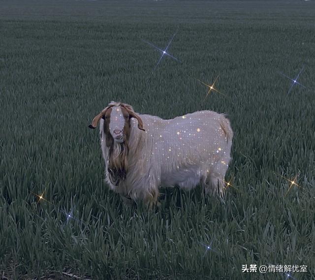 与白羊恋爱必懂，热情似火也需技巧，你掌握了吗？