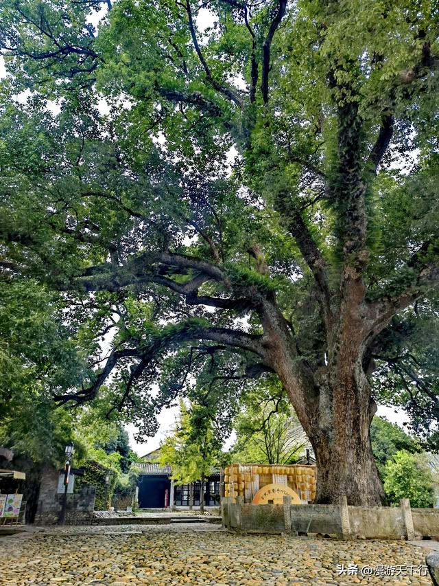 丽水古堰画乡景区没有想象中的那么优秀，去不去皆遗憾