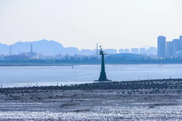 赶海、寻趣！来丰泽打卡这一抹海天蓝！