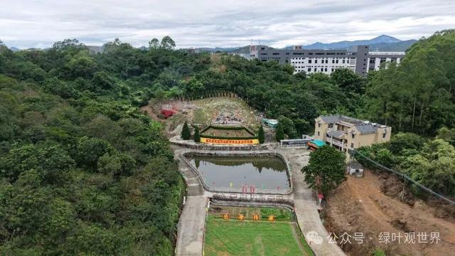 广东饶平江夏黄公墓，后人遍布海内外