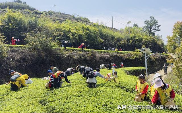 逃离城市热浪！厦门团建天花板，同安军营村解锁高山清凉赋能之旅