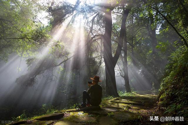 退休后才发现的宝藏地！凤县深度游全攻略，错过拍大腿！
