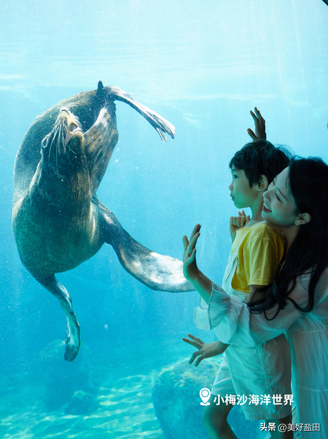 @永州朋友！小梅沙请你免费玩一整年！