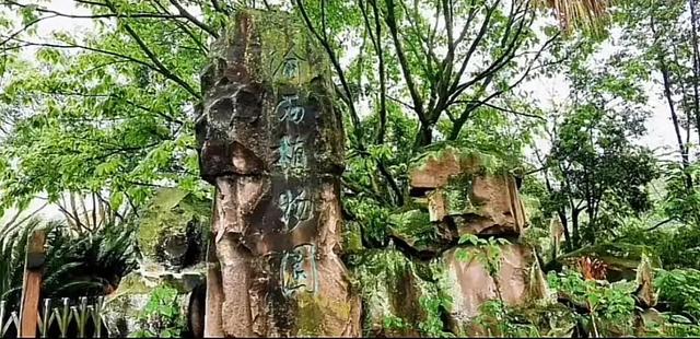 地名里的重庆 | 走进荣昌峰高街道的慢时光太治愈