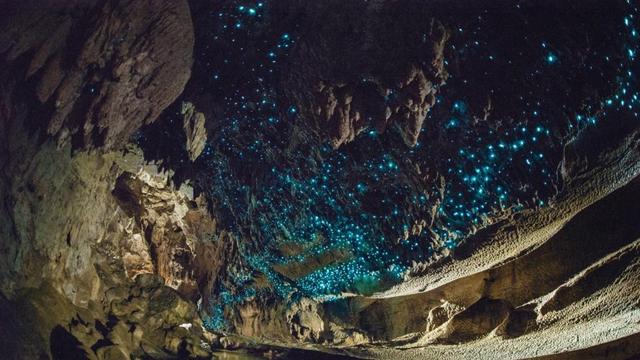 全球最神秘的10个洞穴！有的藏着地下森林，有的能看到“星空”