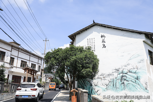 本周六 来桃花岛解锁湖岸山居的诗意野趣