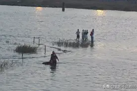 短短几天，奉贤渔人码头同一地点，两次涨潮被困......图片