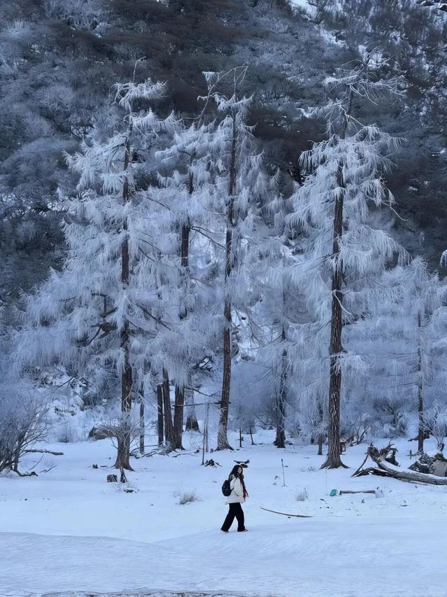 不说了，我要去四川玩雪了！