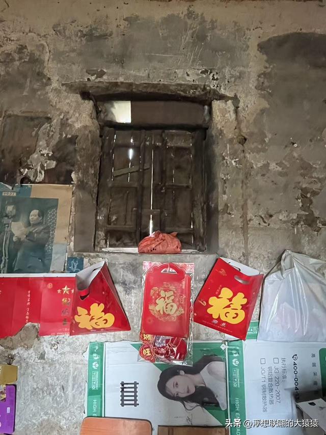 泰安肥城西陆房村里的大白菜