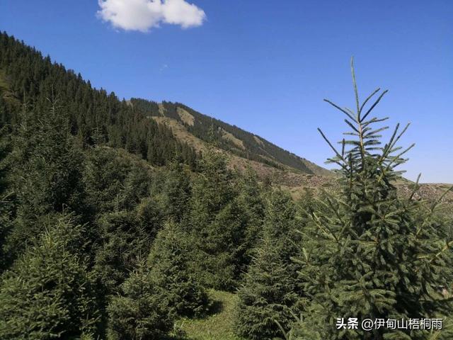 新疆之旅（六）：美丽的巴音那木